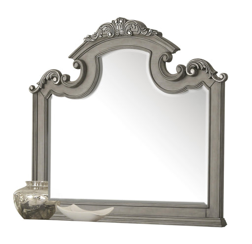 Silvy Transitional Style Mirror in Gray finish Wood image