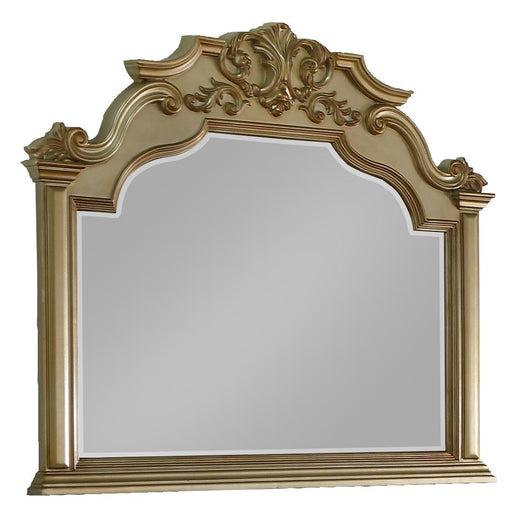 Miranda Transitional Style Mirror in Gold finish Wood image