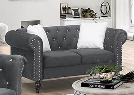 Galaxy Home Emma Loveseat in Gray GHF-808857544742 image