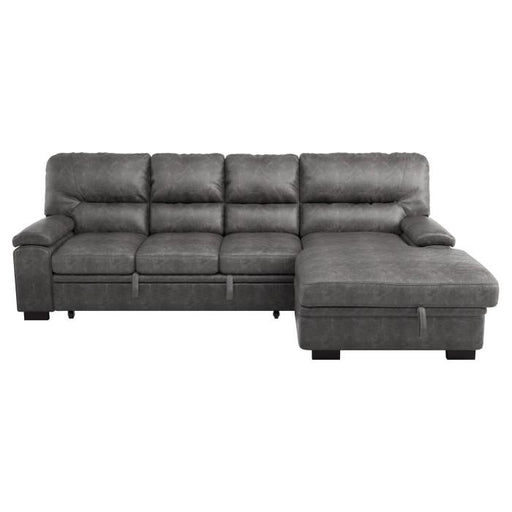 Michigan Sectional with Pull Out Bed and Right Chaise in Dark Gray 9407DG*2RC3L image